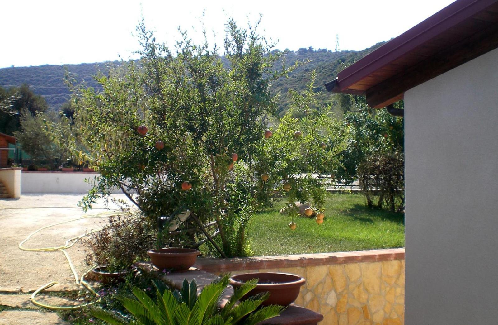 Bed&Breakfast La Casetta Monopoli Exteriör bild