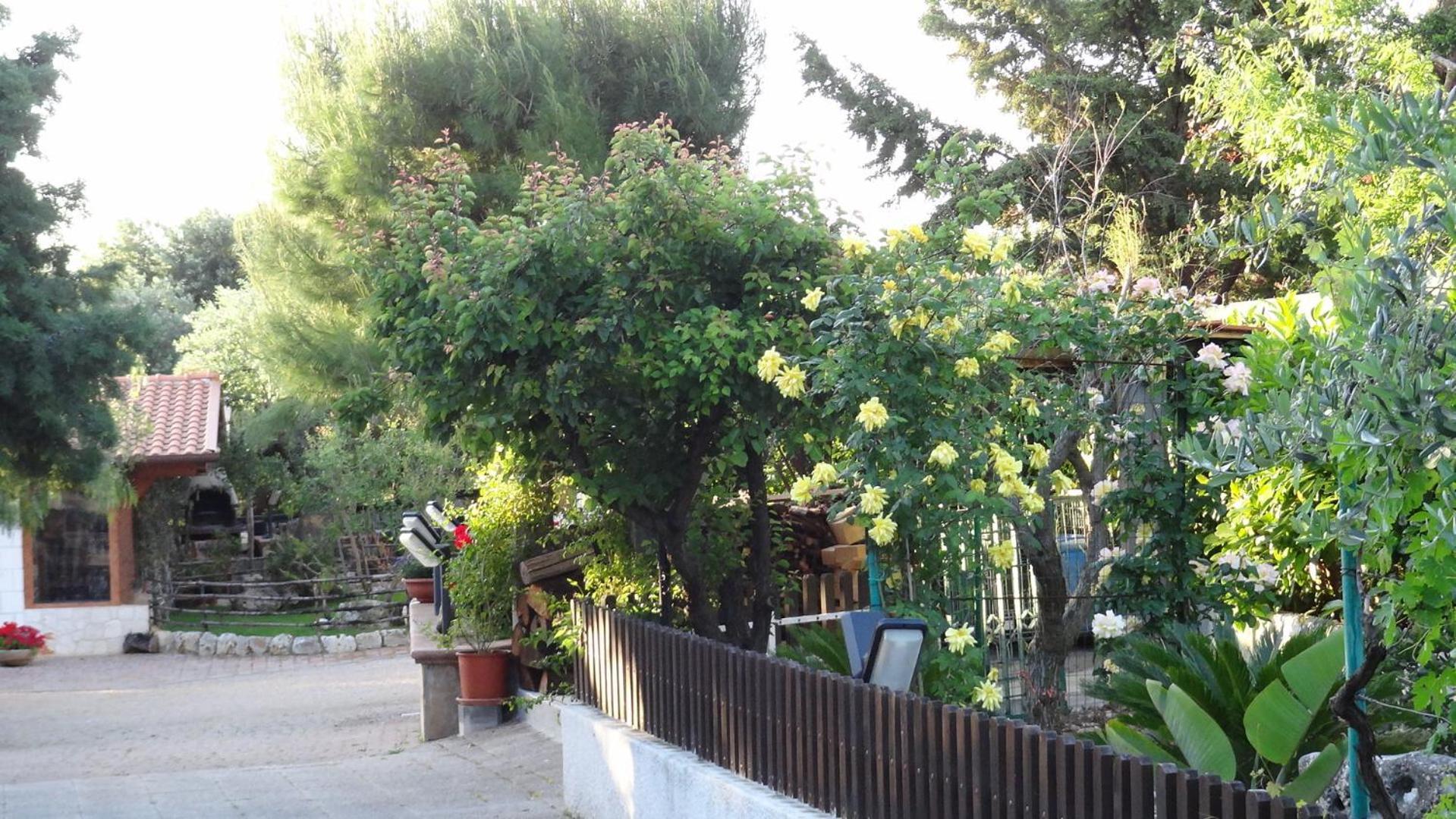 Bed&Breakfast La Casetta Monopoli Exteriör bild