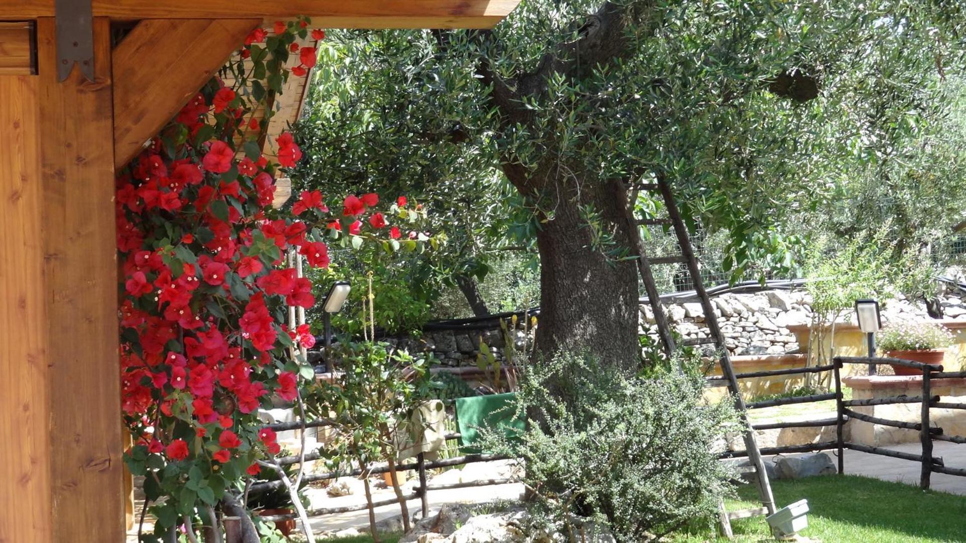 Bed&Breakfast La Casetta Monopoli Exteriör bild